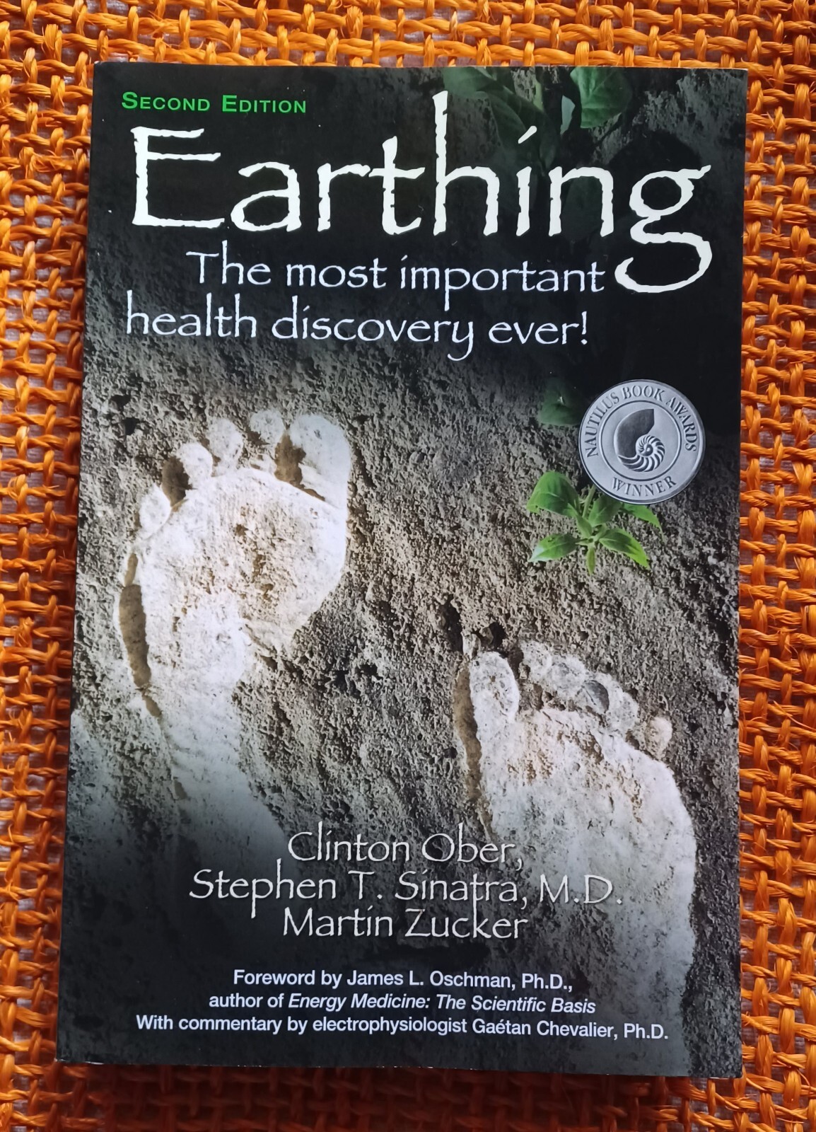 Earthing Martin Zucker Stephen Sinatra Clinton Ober 2014 SC Nautilus Book Award