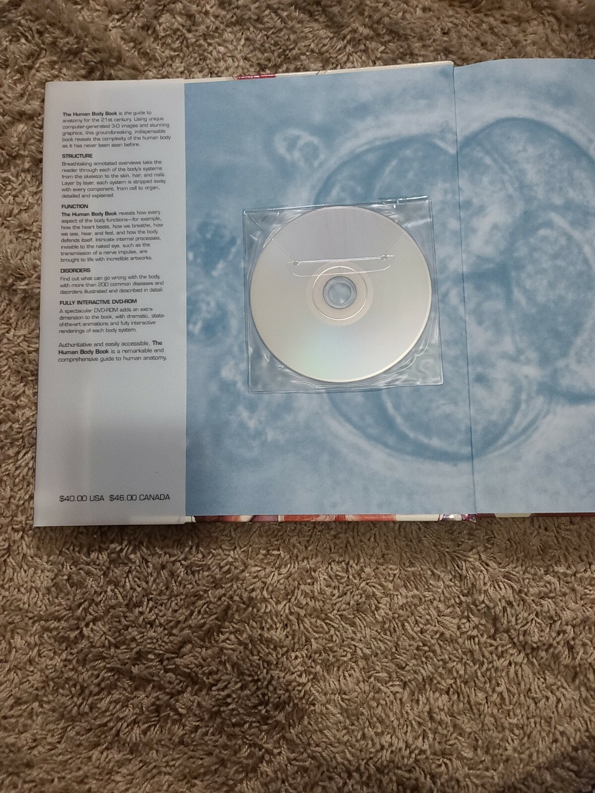 the human body book