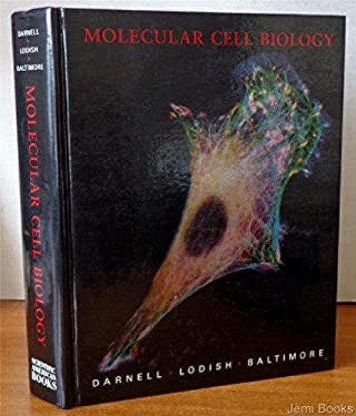 Molecular Cell Biology J. E., Baltimore, David, Lodish, Harvey Da