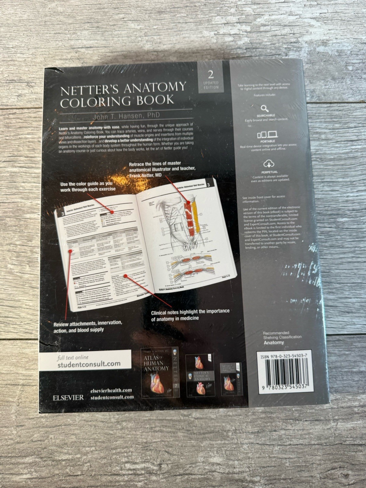 Netter Basic Science Ser.: Netter’s Anatomy Coloring Book 2nd Edition