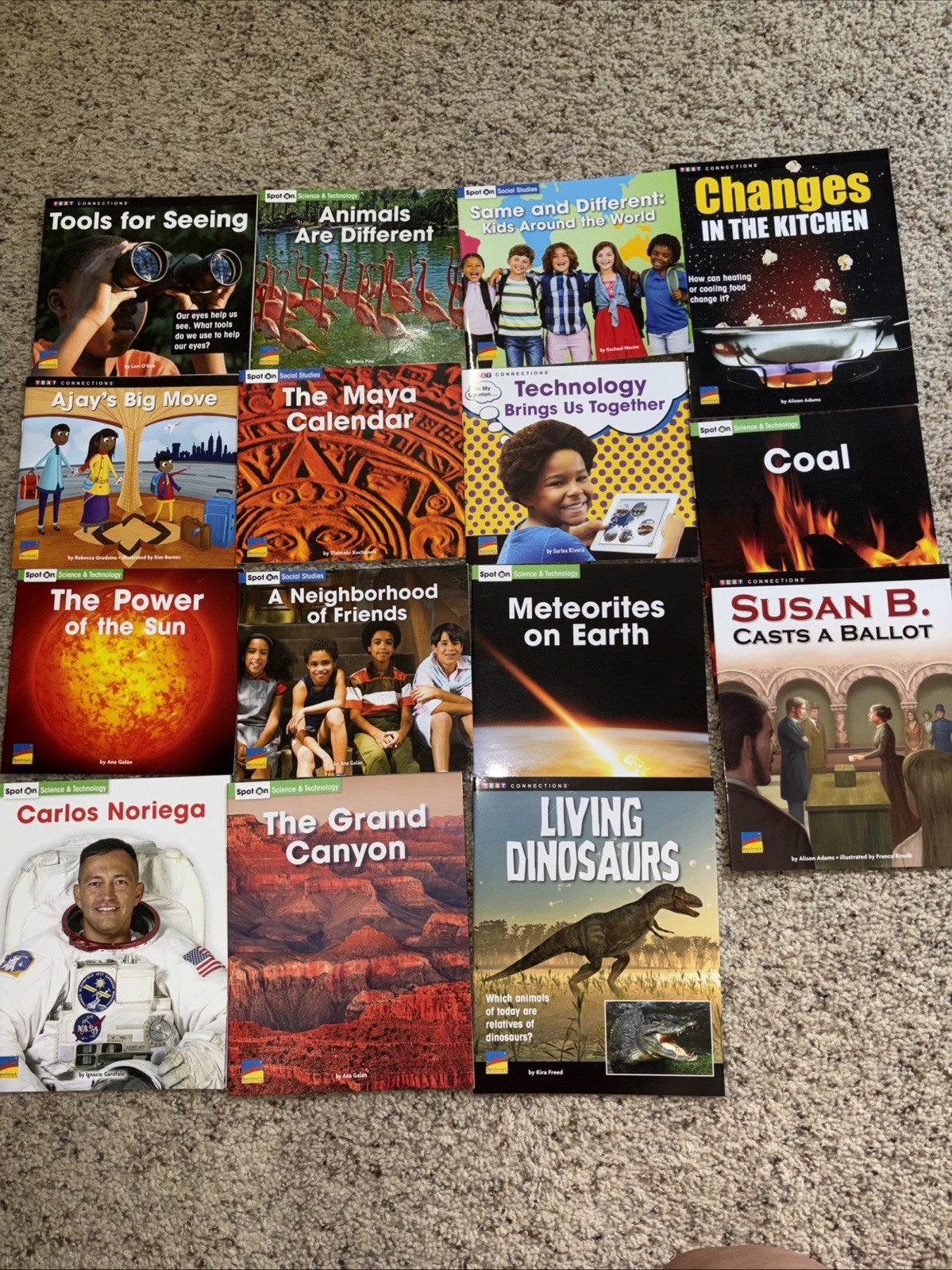 Benchmark Education Early Text Connections Soft Books Lot of 57 Spot On