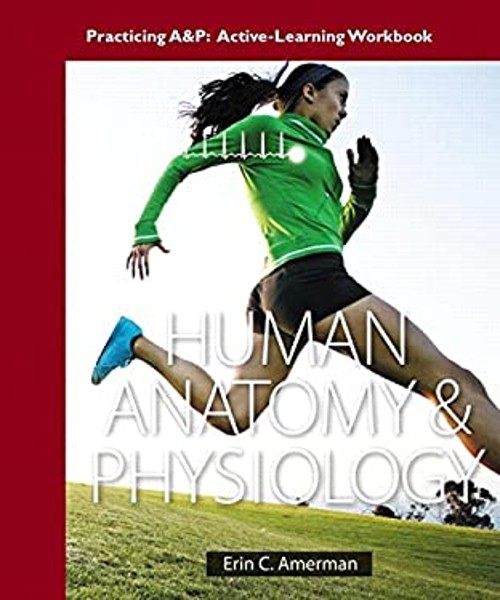 Human Anatomy and Physiology Paperback Erin C. Amerman