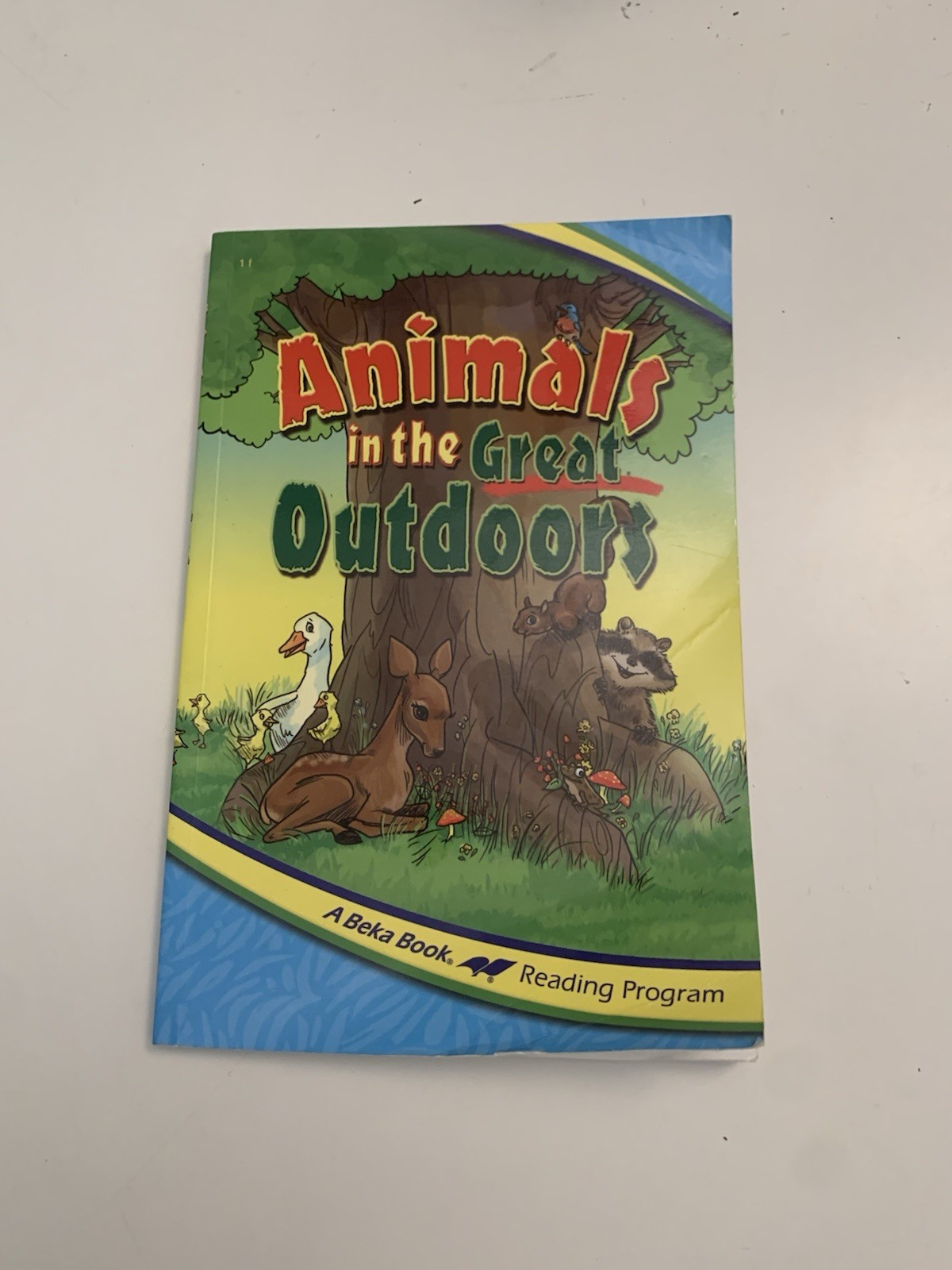 Animals in the Great Outdoors by Delores Shimmin (2015, Trade Paperback)