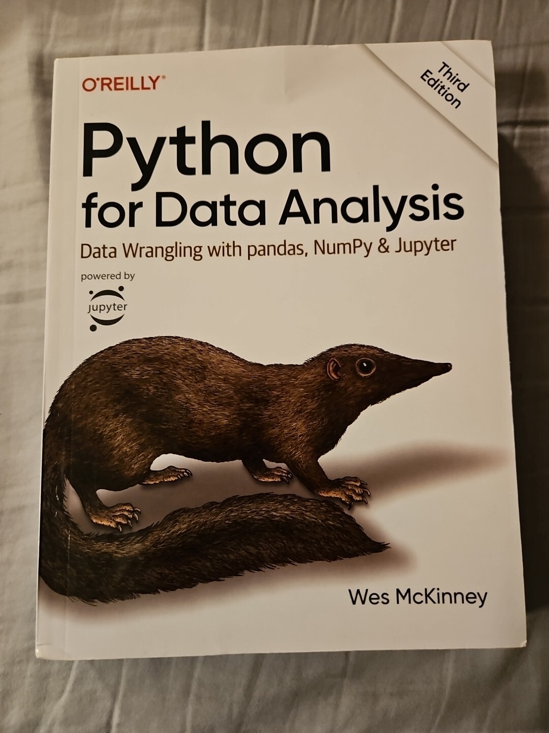 Python Third Edition By Wes McKinney