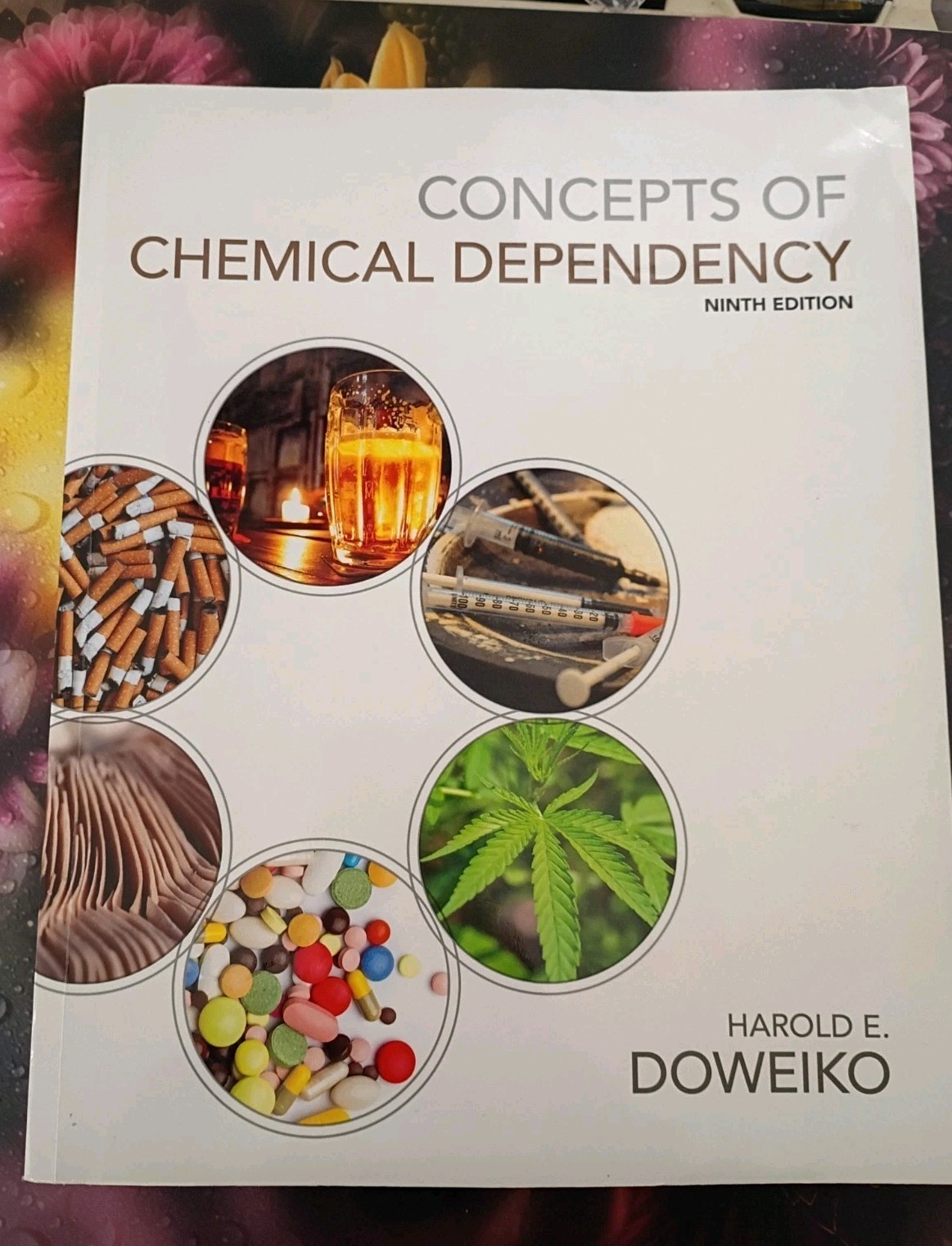 Concepts of Chemical Dependency 9th ED Doweiko – Very clean