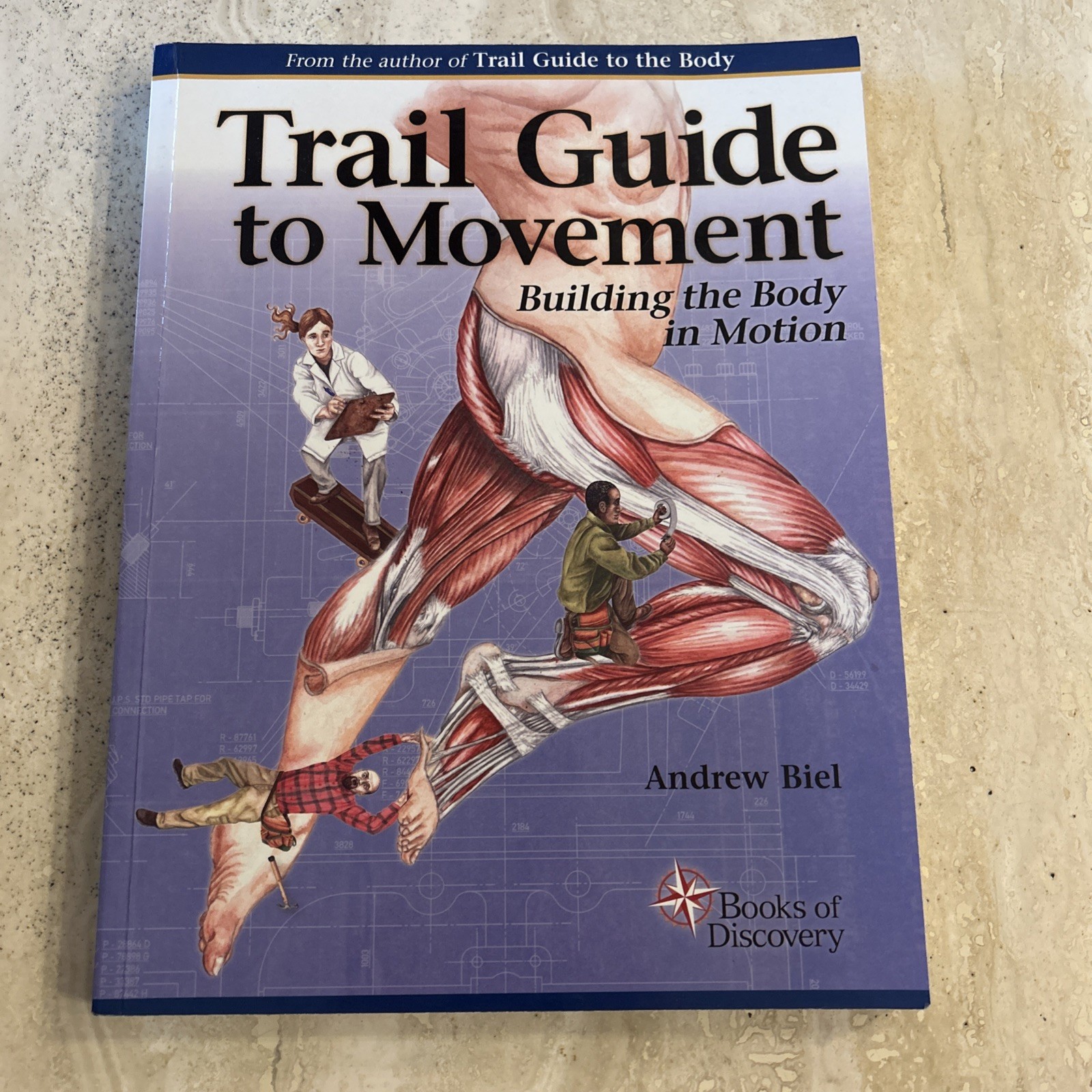 Trail Guide to Movement 1e : Building the Body in Motion by Andrew Biel 2015