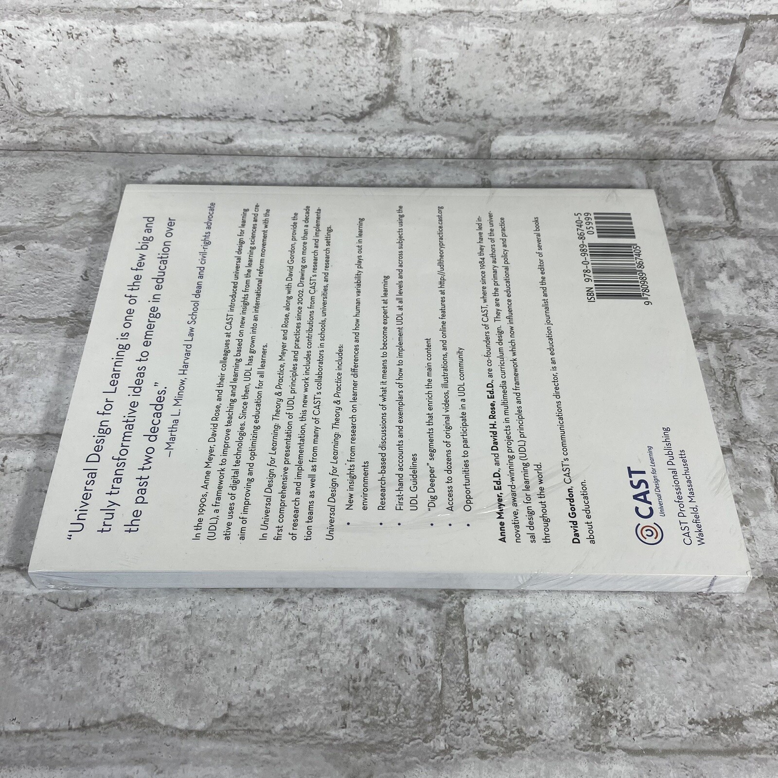 Universal Design for Learning: Theory and Practice 1st Edition Paperback Book