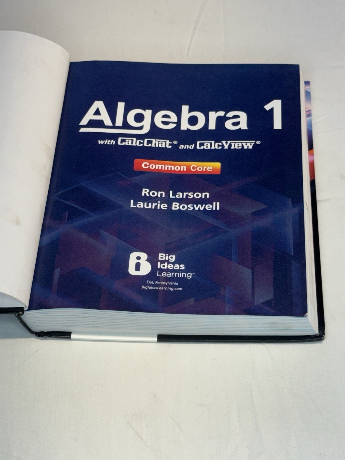 LIKE NEW Algebra 1 Ron Larson, Laurie Boswell, Big Ideas Learning, 2022