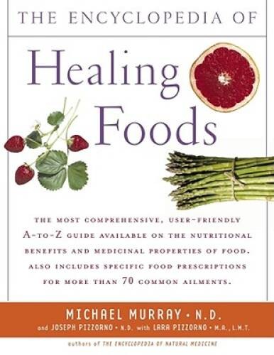 Encyclopedia of Healing Foods – Paperback By Michael T. Murray – VERY GOOD