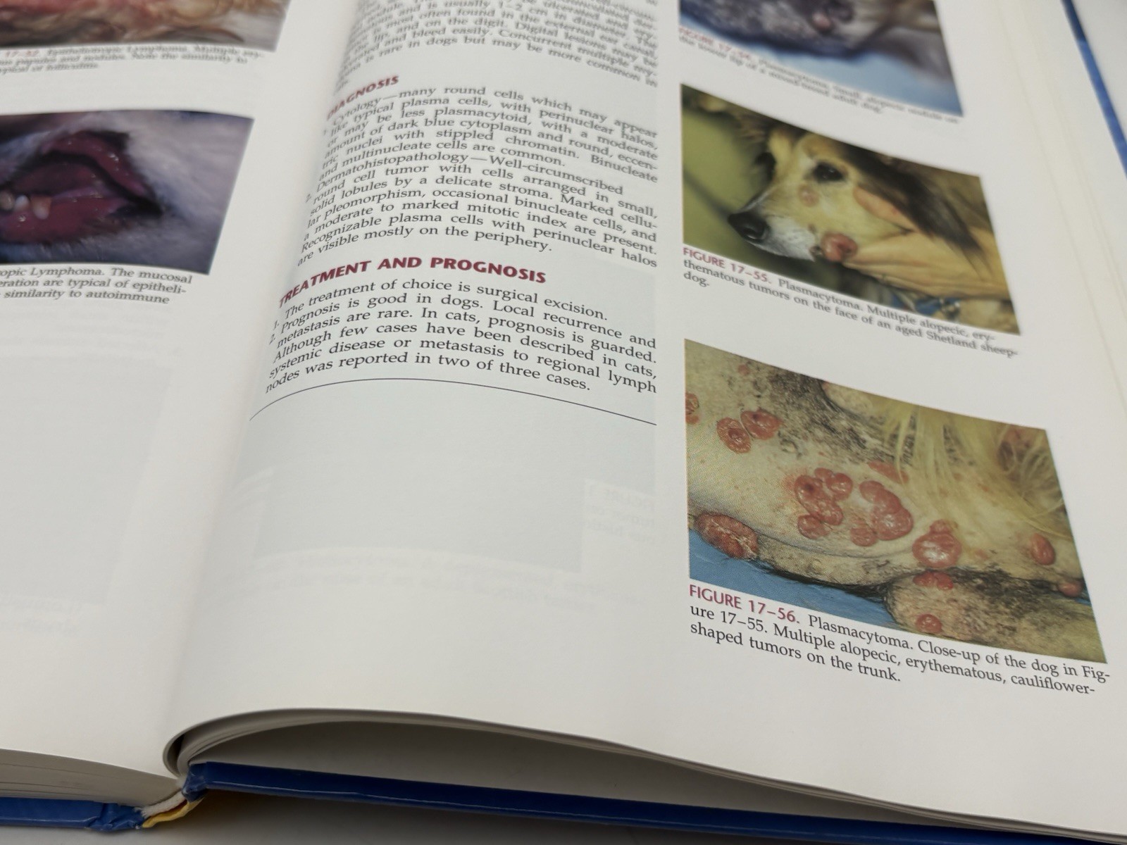 Small Animal Dermatology Color Atlas Therapeutic Guide Medleau Hnilica HC 2001