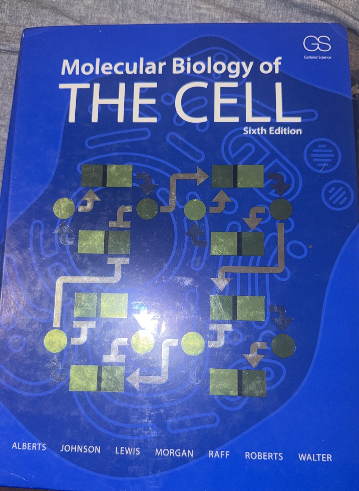 Molecular Biology of the Cell by Bruce Alberts, David Morgan, Martin Raff,…