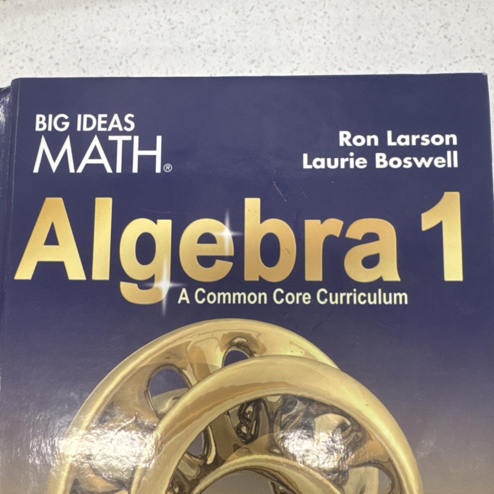 Big Ideas Math Learning Algebra 1 Hardcover Textbook Ron Larson Boswell 2015