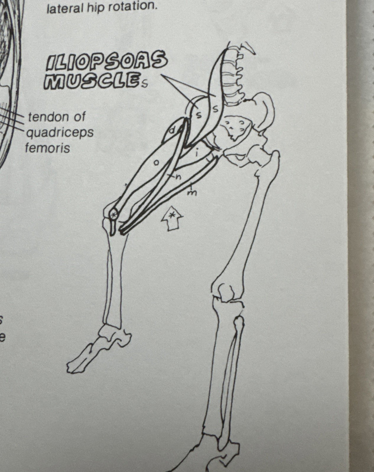 The Anatomy Coloring Book Paperback by Wynn Kapit Lawrence M. Elson – Spine Wear