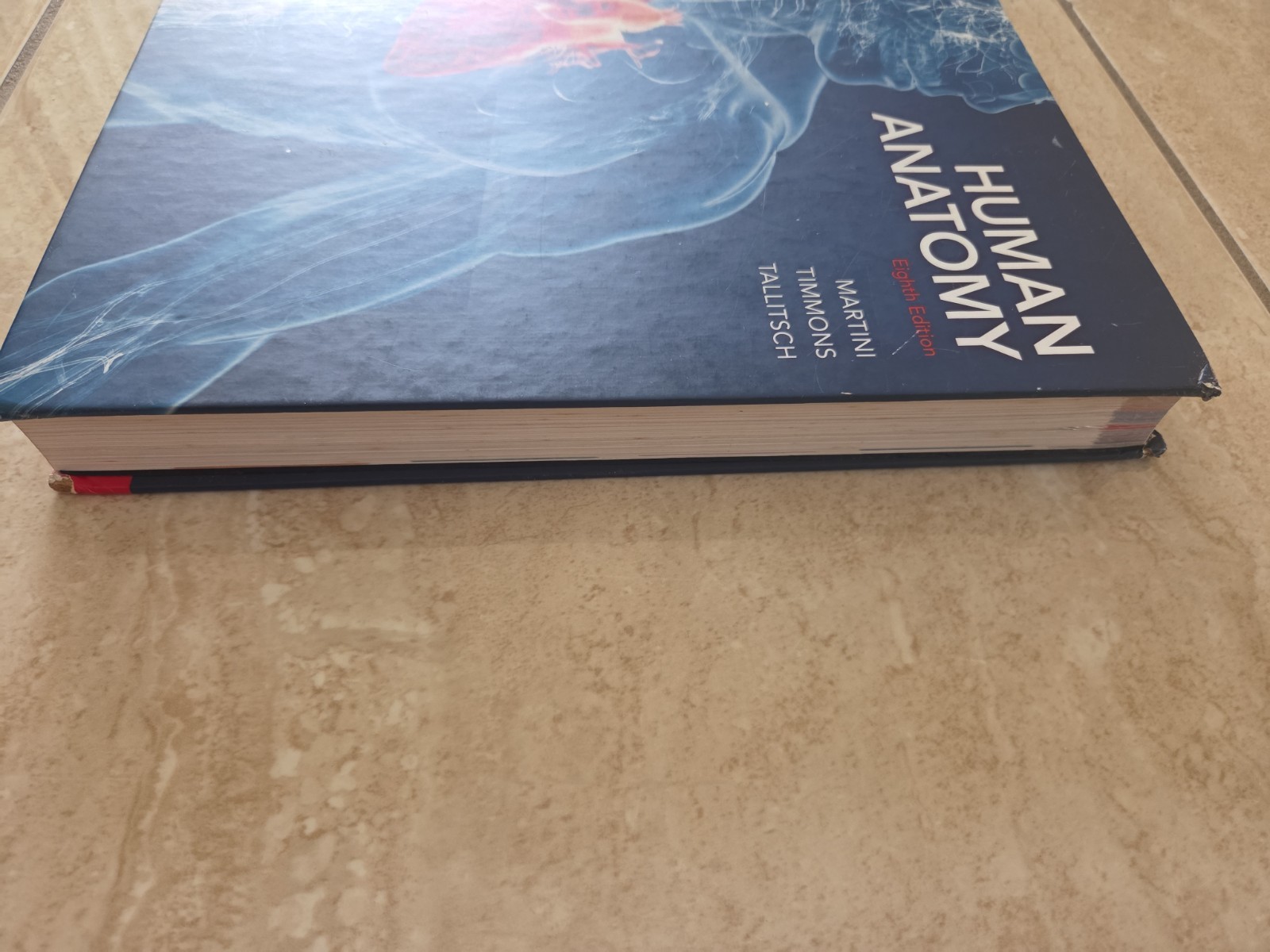 Human Anatomy (8th Edition) – Standalone book – Hardcover – Acceptable