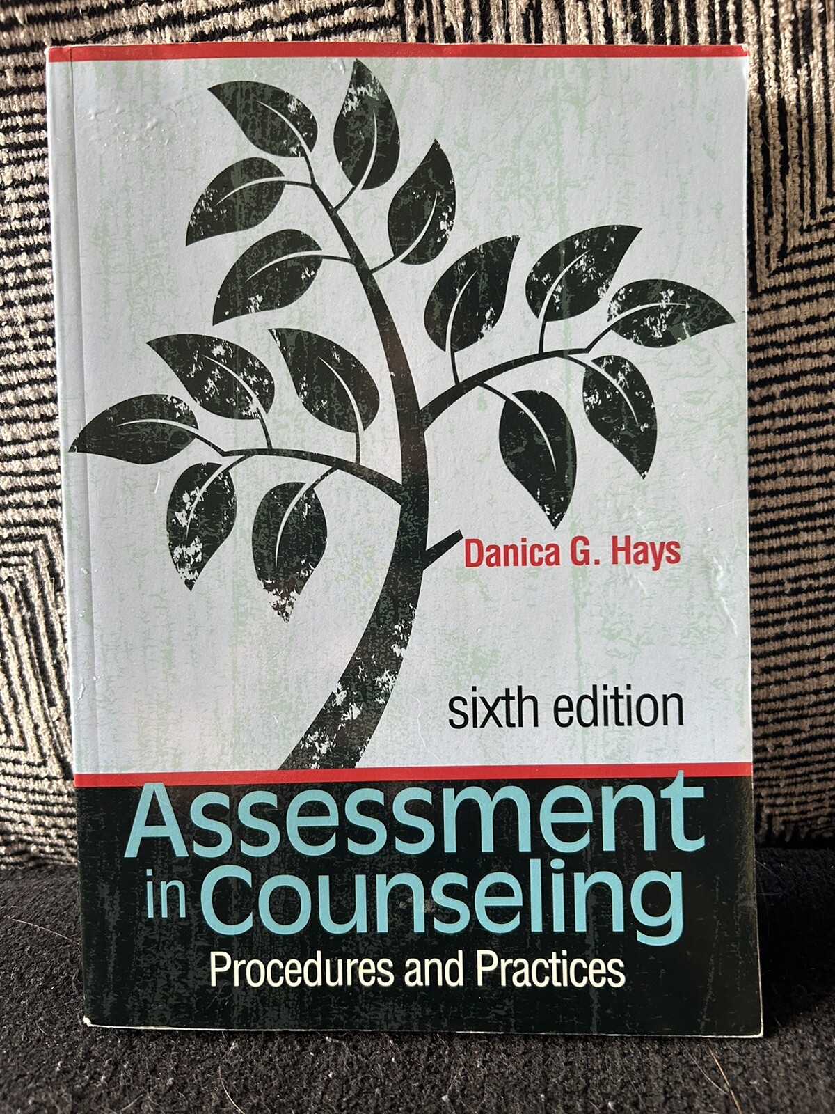 Assessment in Counseling Procedures and Practices text Danica G. Hays 6th Ed