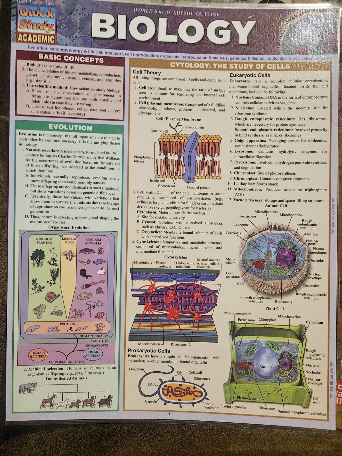 Loose Leaf for Biology: Concepts and Investigations by Mariëlle Hoefnagels..