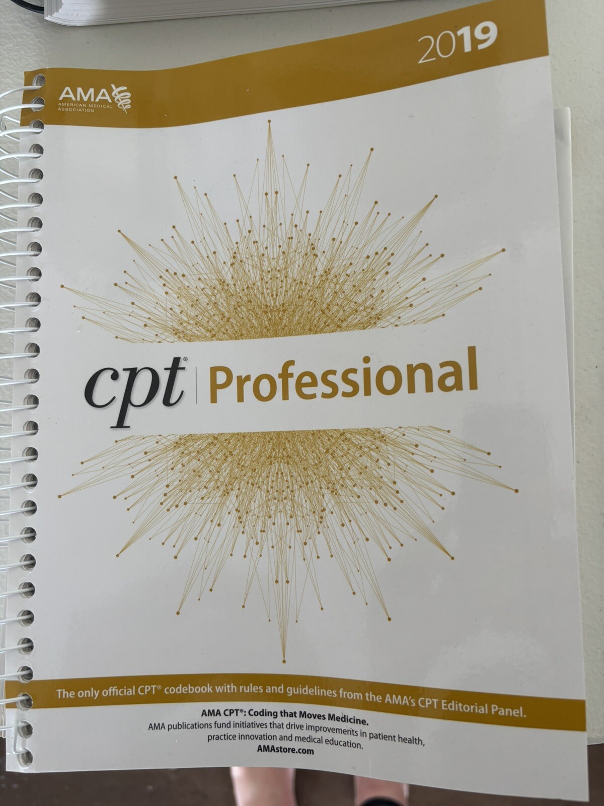 CPT Professional 2019 by American Medical Association (2018, Spiral)
