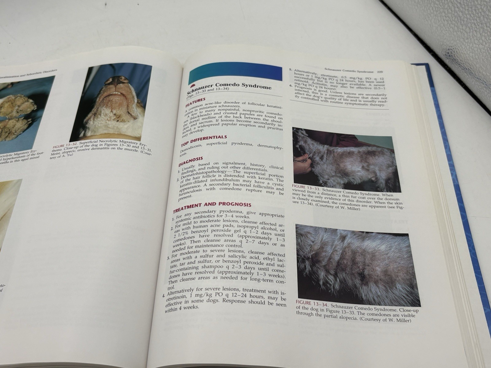 Small Animal Dermatology Color Atlas Therapeutic Guide Medleau Hnilica HC 2001
