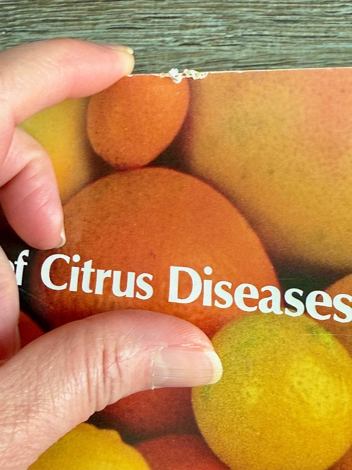 Lot of 3: COMPENDIUM OF CITRUS DISEASES; Citrus related Magazine & Circular 502