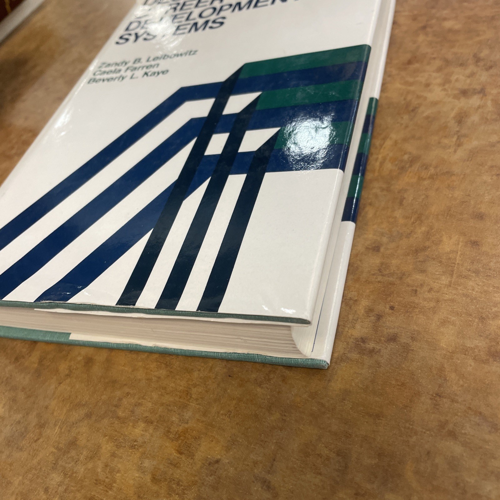 Designing Career Development Syste (Jossey bass… – Leibowitz – Good – Hardc…