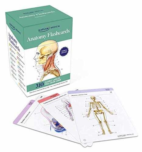 Anatomy Flashcards: 300 Flashcards with – Cards, by Tillotson Joanne – Very Good