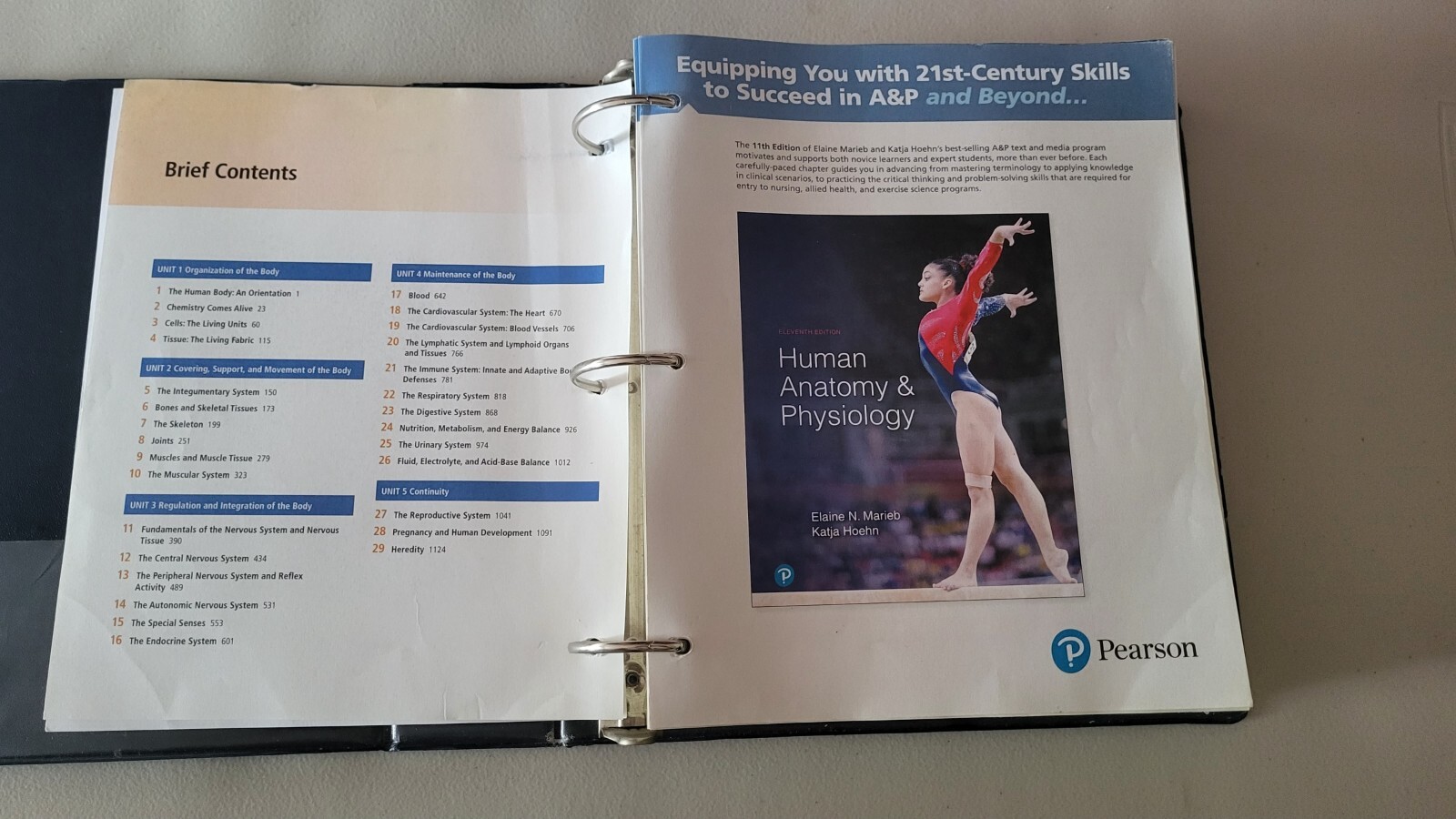 Human Anatomy and Physiology, Books a la Carte Edition by Katja Hoehn and Elaine