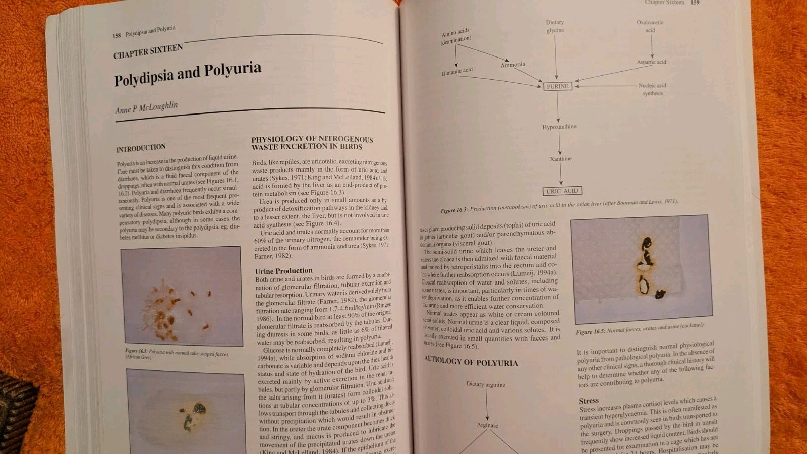 Peter Beynon, MANUAL OF PSITTACINE BIRDS, 1996, PB, Iowa State Press, BSAVA