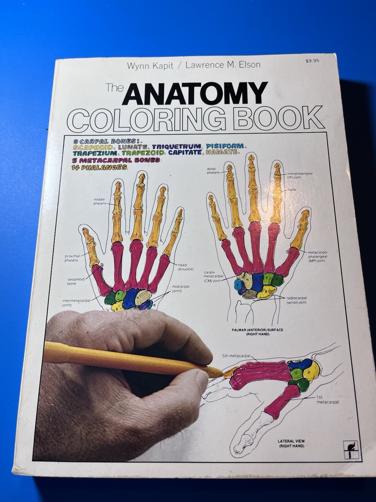 The Anatomy Coloring Book