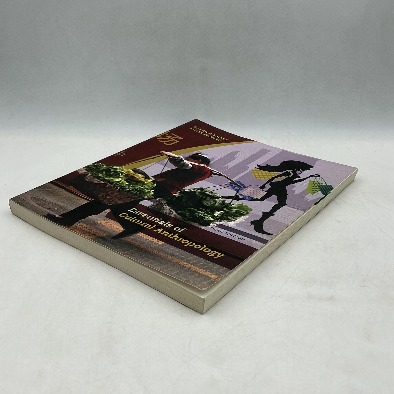 ESSENTIALS OF CULTURAL ANTHROPOLOGY BAILEY PEOPLES 2014 PAPERBACK WADSWORTH