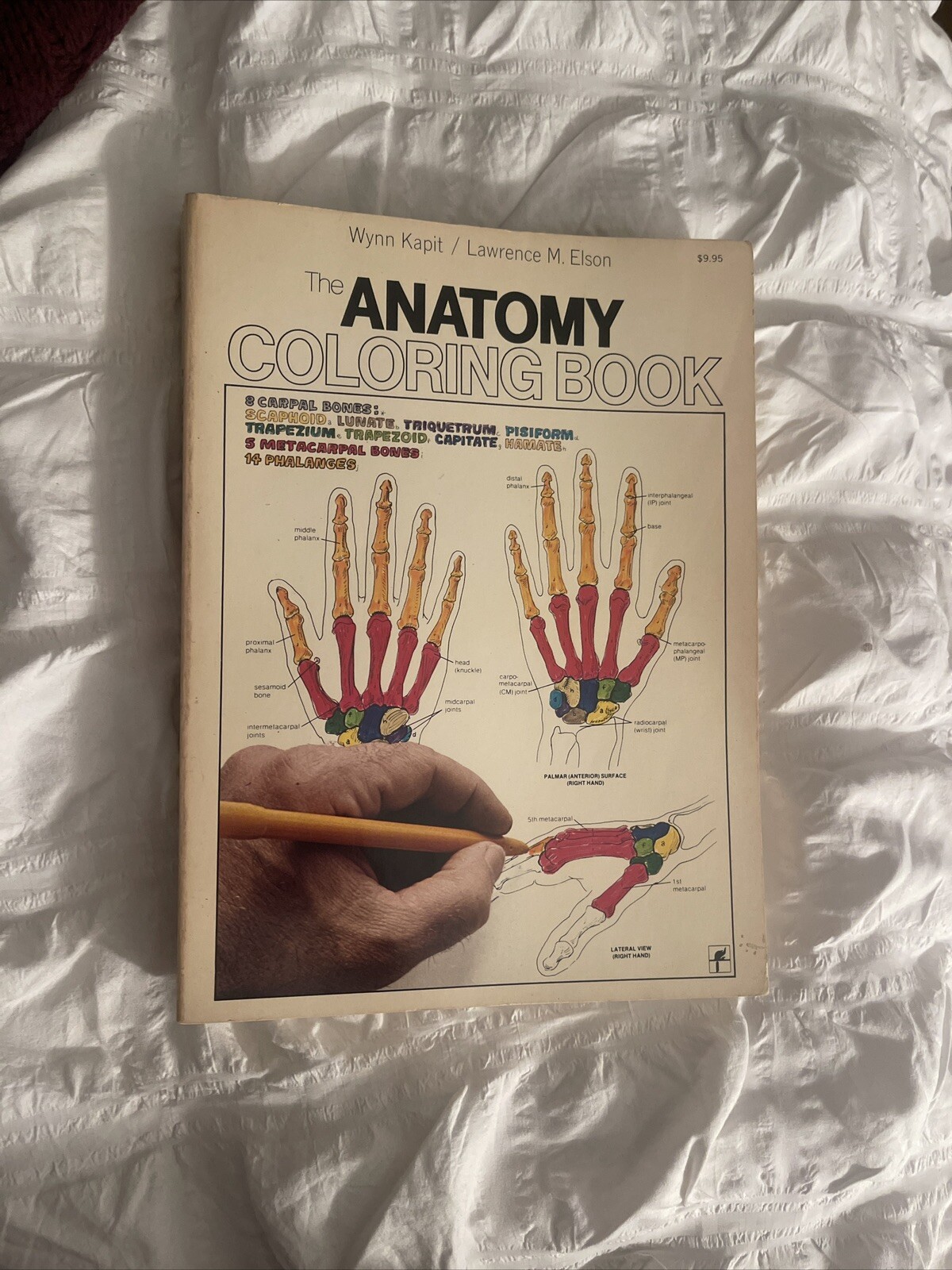 THE ANATOMY COLORING BOOK – 1977 – PAPERBACK
