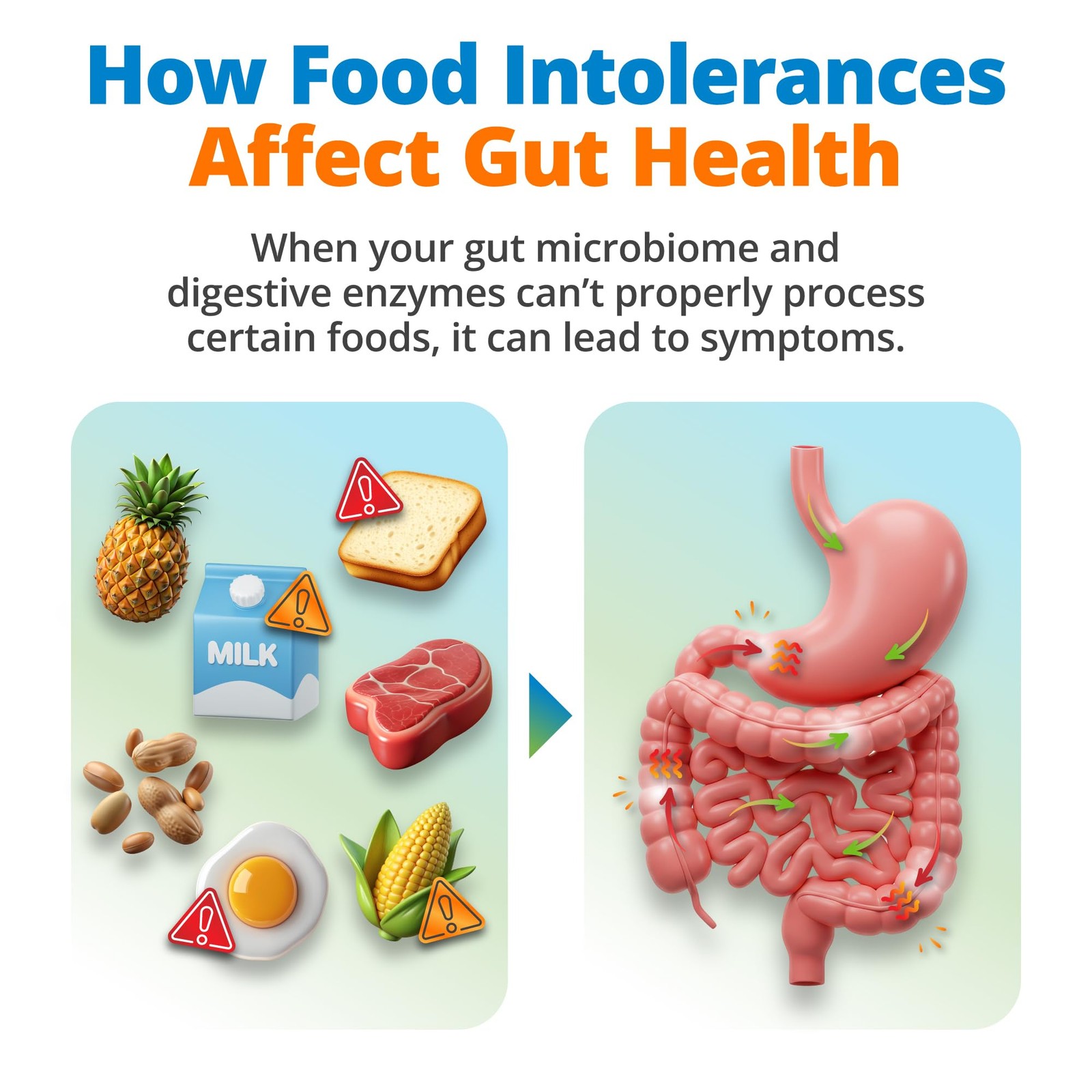 5Strands Comprehensive Gut Health Test for Adults & Kids, 1000+ Food Items Te…