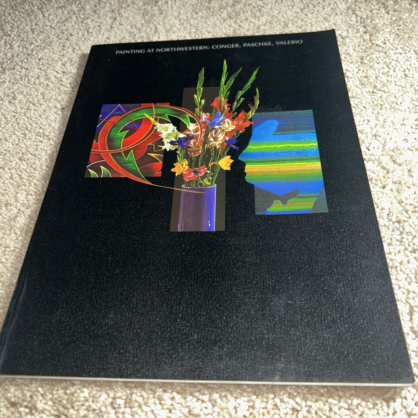 1986 PAINTING AT NORTHWESTERN: CONGER, PASCHKE, VALERIO