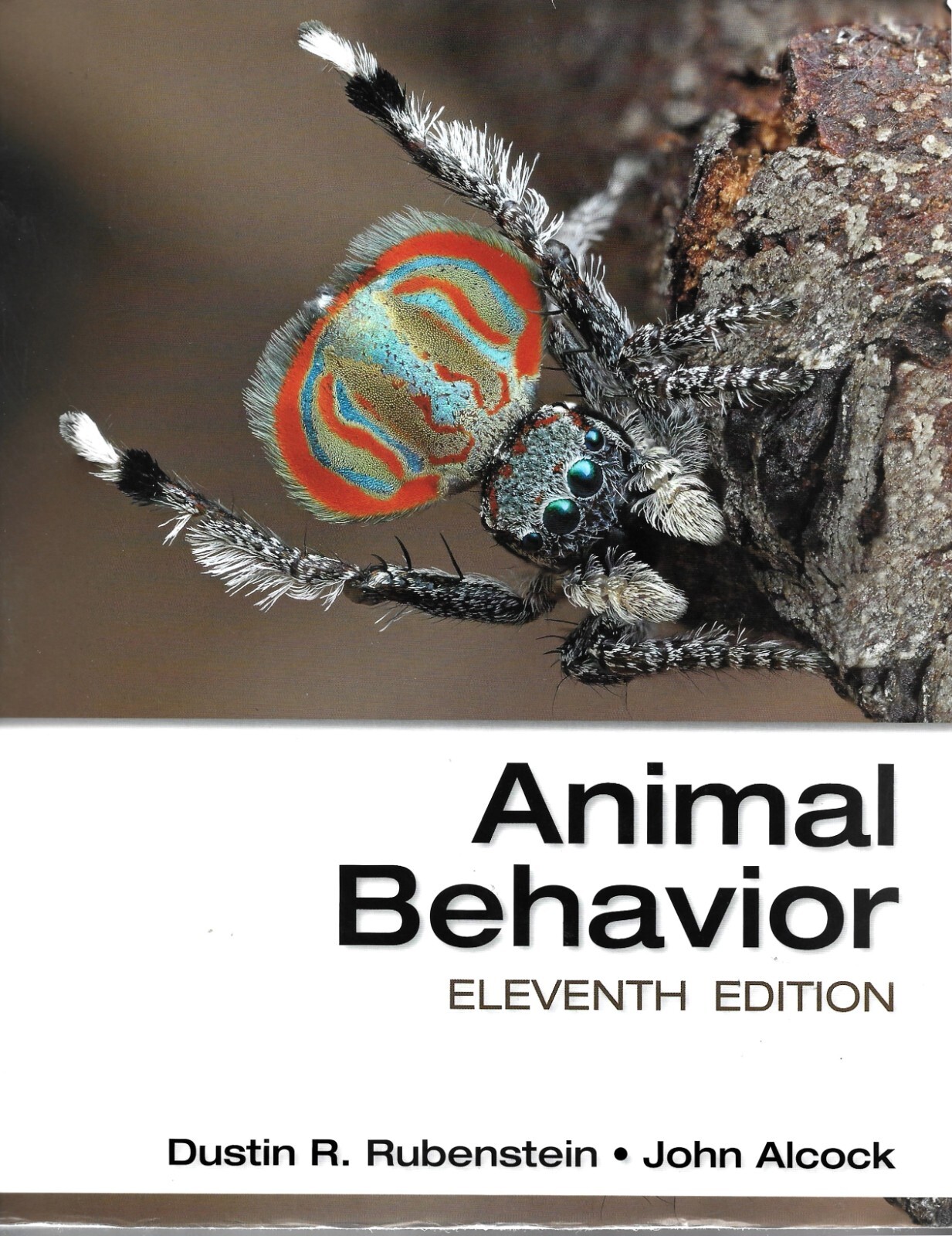 Animal Behavior Eleventh Edition – John Alcock and Dustin R. Rubenstein