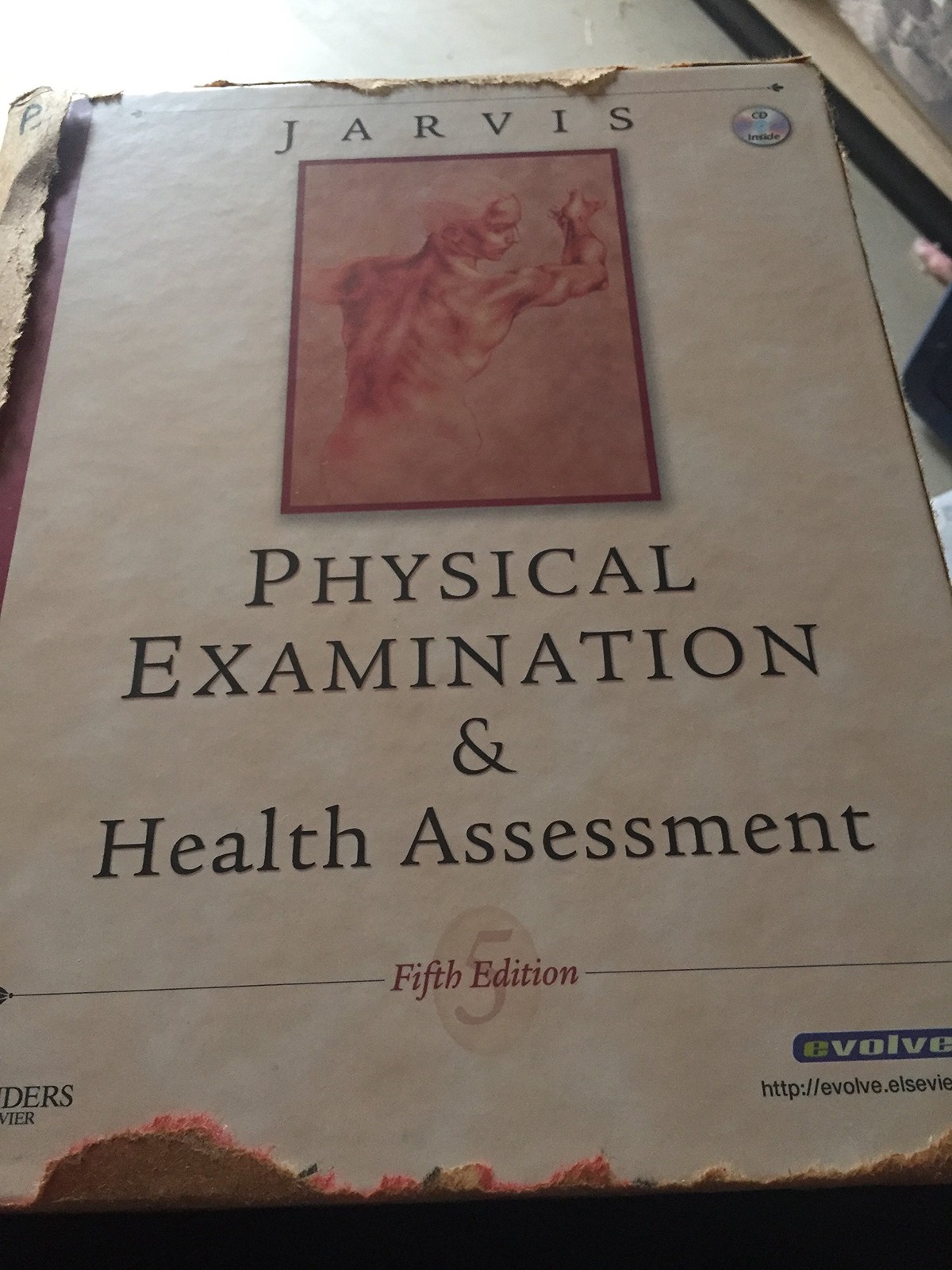 Physical Examination and Health Assessment