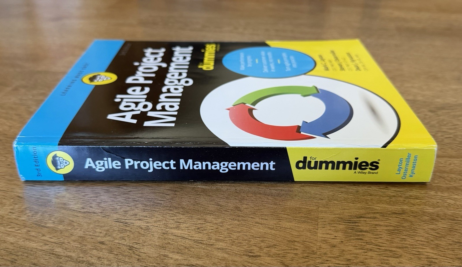 Agile Project Management for Dummies by Mark C. Layton, Steven J. Ostermiller…