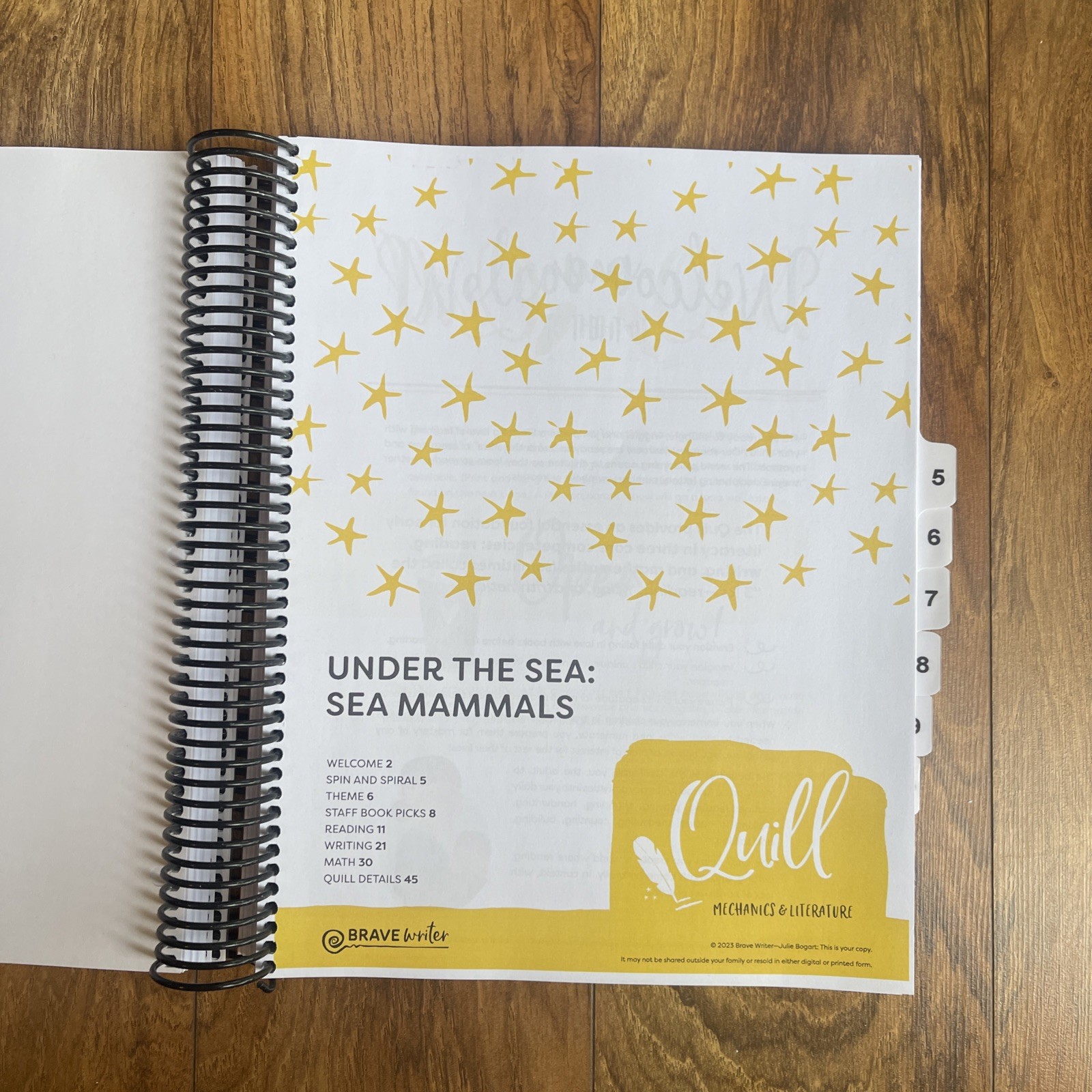 Homeschool Curriculum Quill Mechanics And Literature 12 In 1 Early Elementary