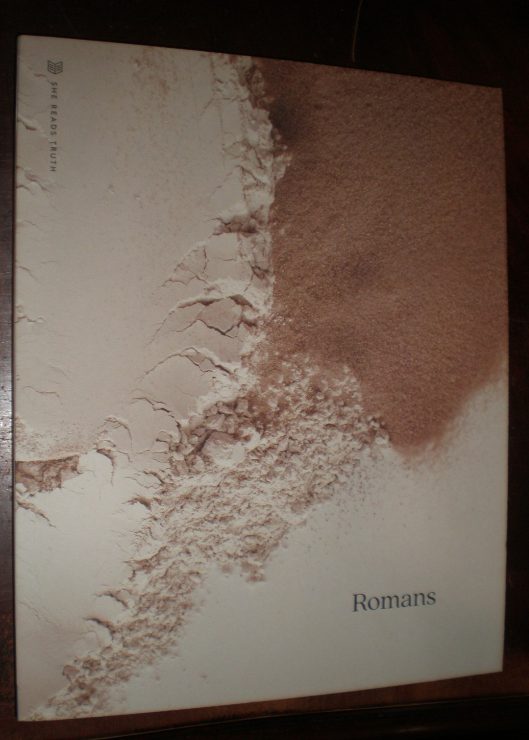 Romans SRT 2023 by She Reads Truth (2023, Trade Paperback) BRAND NEW
