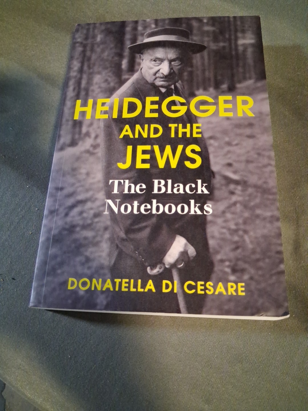 Heidegger and the Jews : The Black Notebooks by Donatella. Di Cesare (2018,…