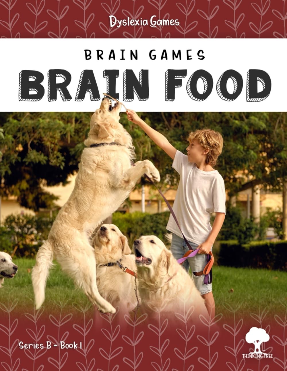 Dyslexia Games – Brain Food – Series B Book 1