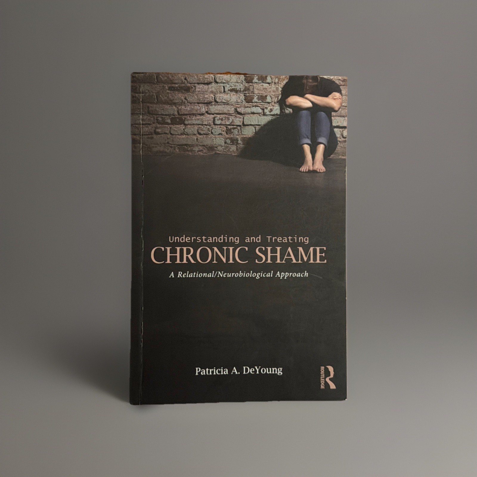 Understanding and Treating Chronic Shame by Patricia A. DeYoung (2015, PB)