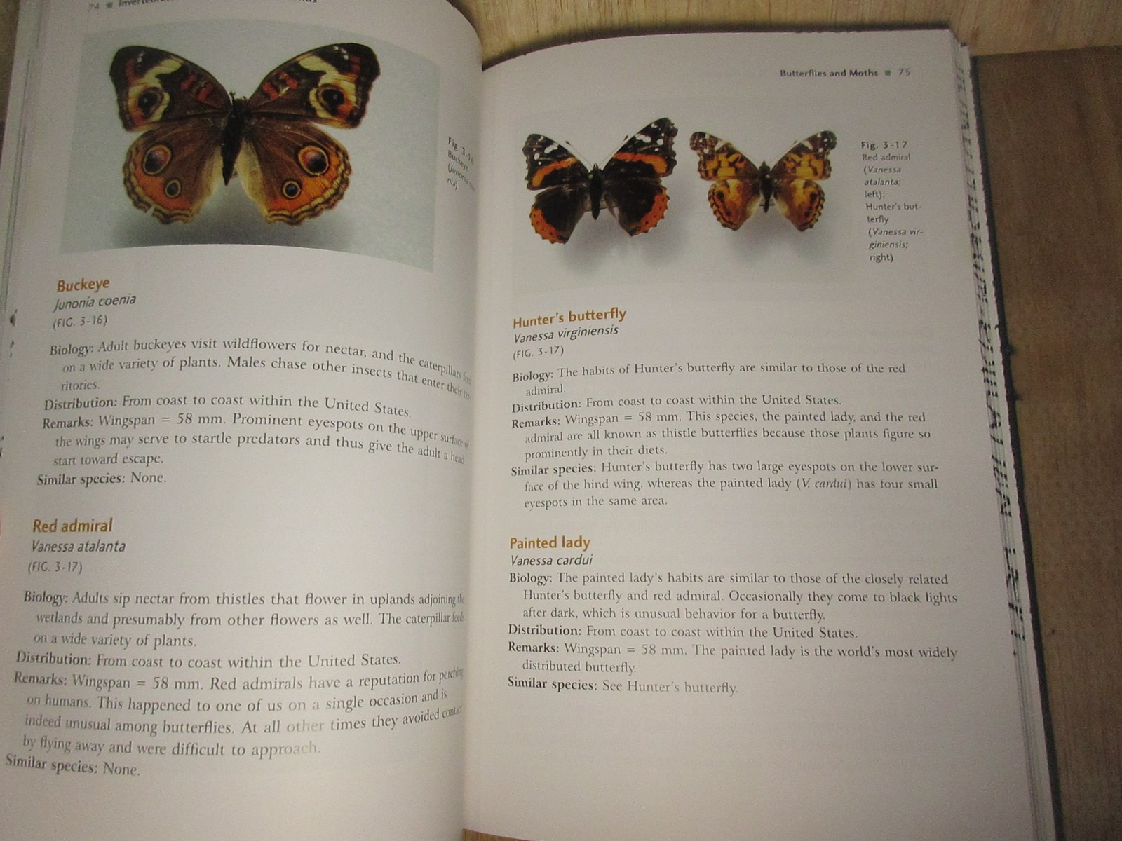INVERTEBRATES OF CENTRAL TEXAS WETLANDS By Stephen Welton Taber & Scott B. Good