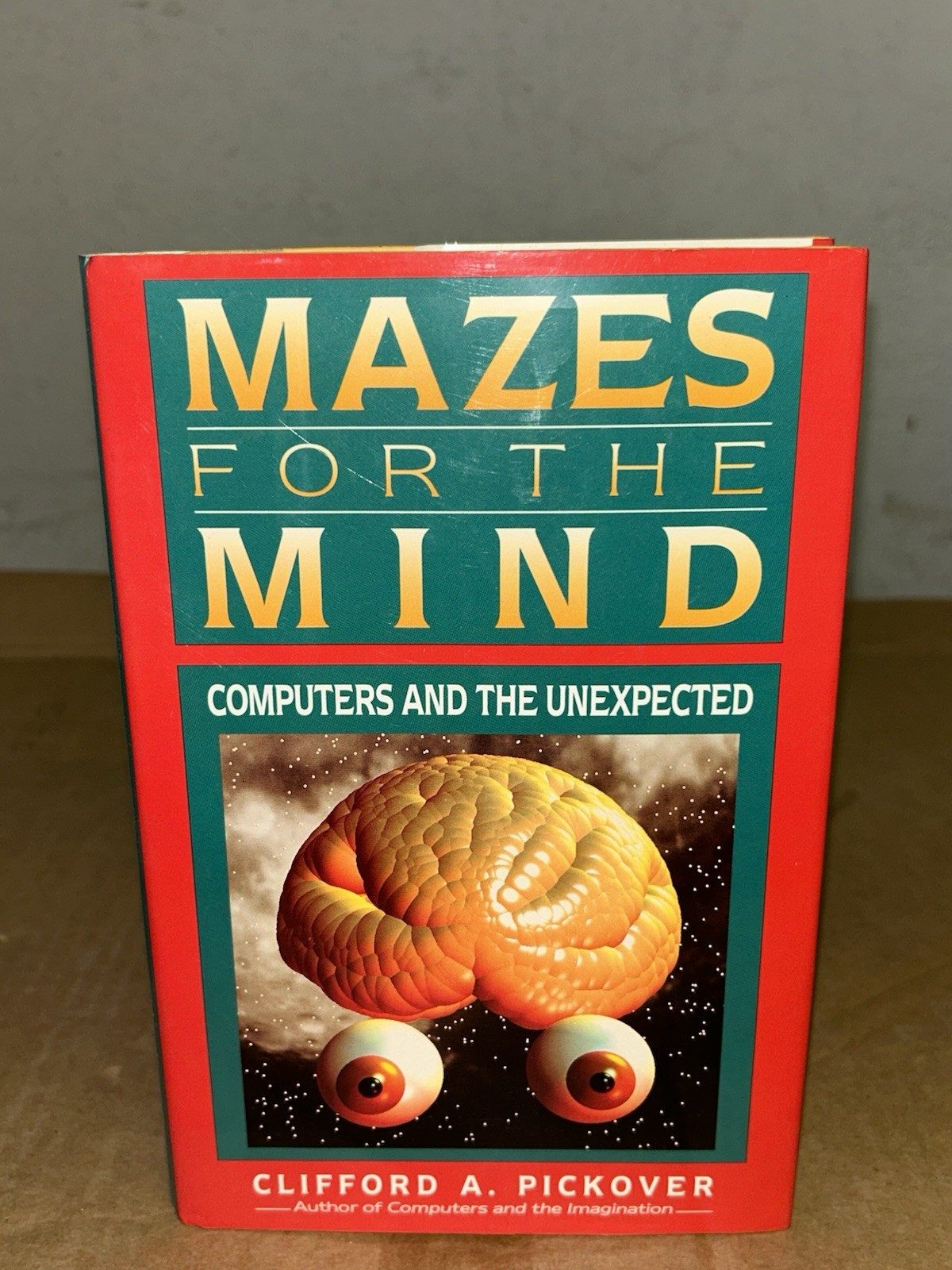 Mazes For The Mind: Computers & The Unexpected By Clifford Pickover HC+DJ 1st Ed