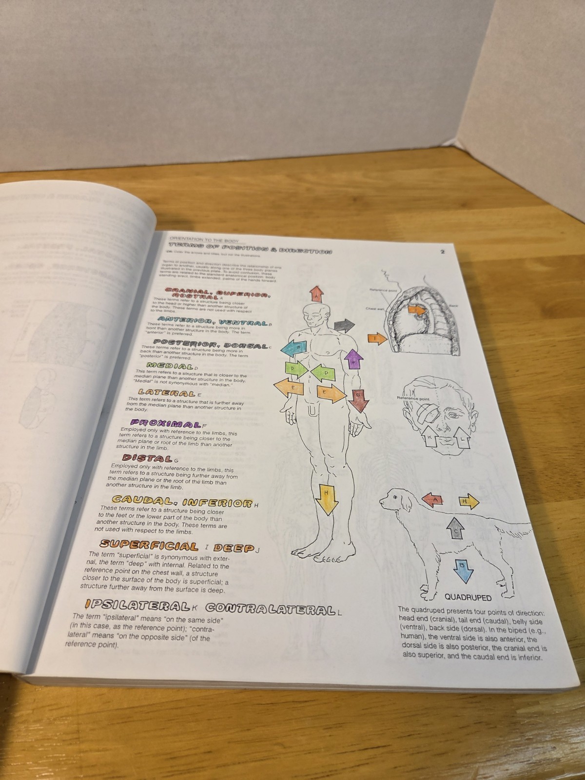 Lot of 2 coloring books – ANATOMY & PHYSIOLOGY – Wynn Kapit