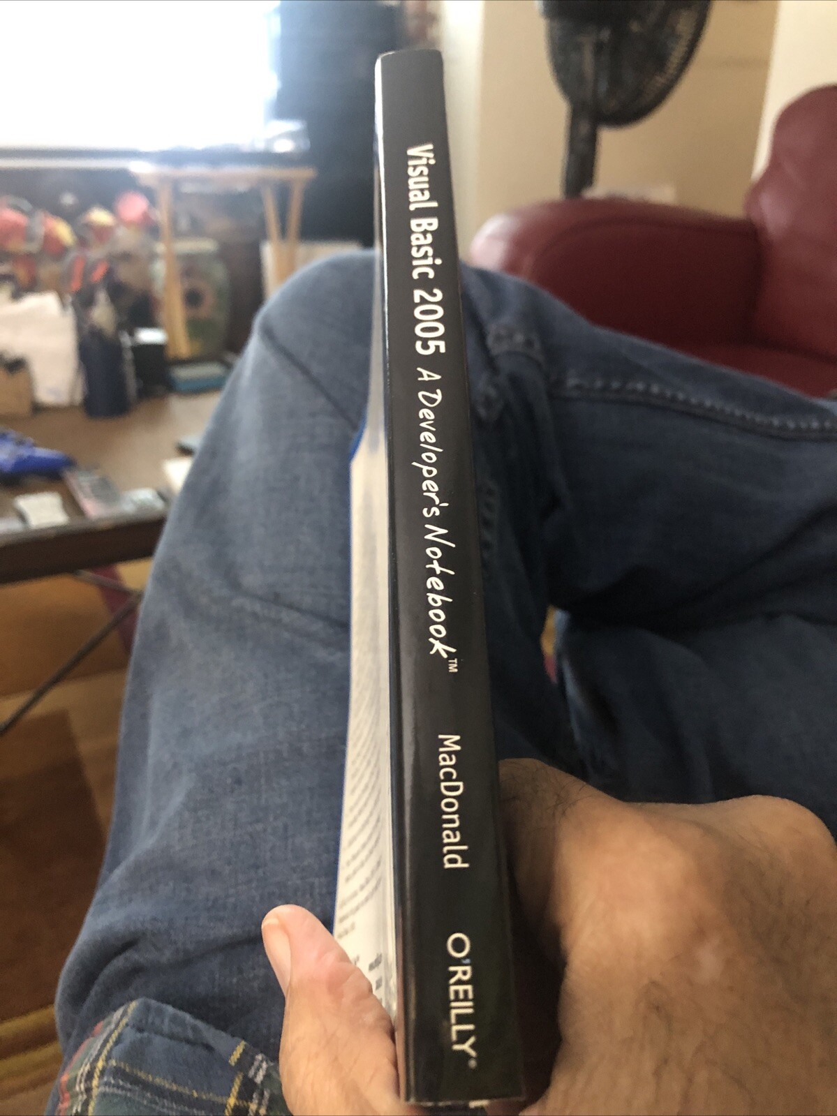 Visual Basic 2005: A Developer’s Notebook by Matthew MacDonald Paperback Book