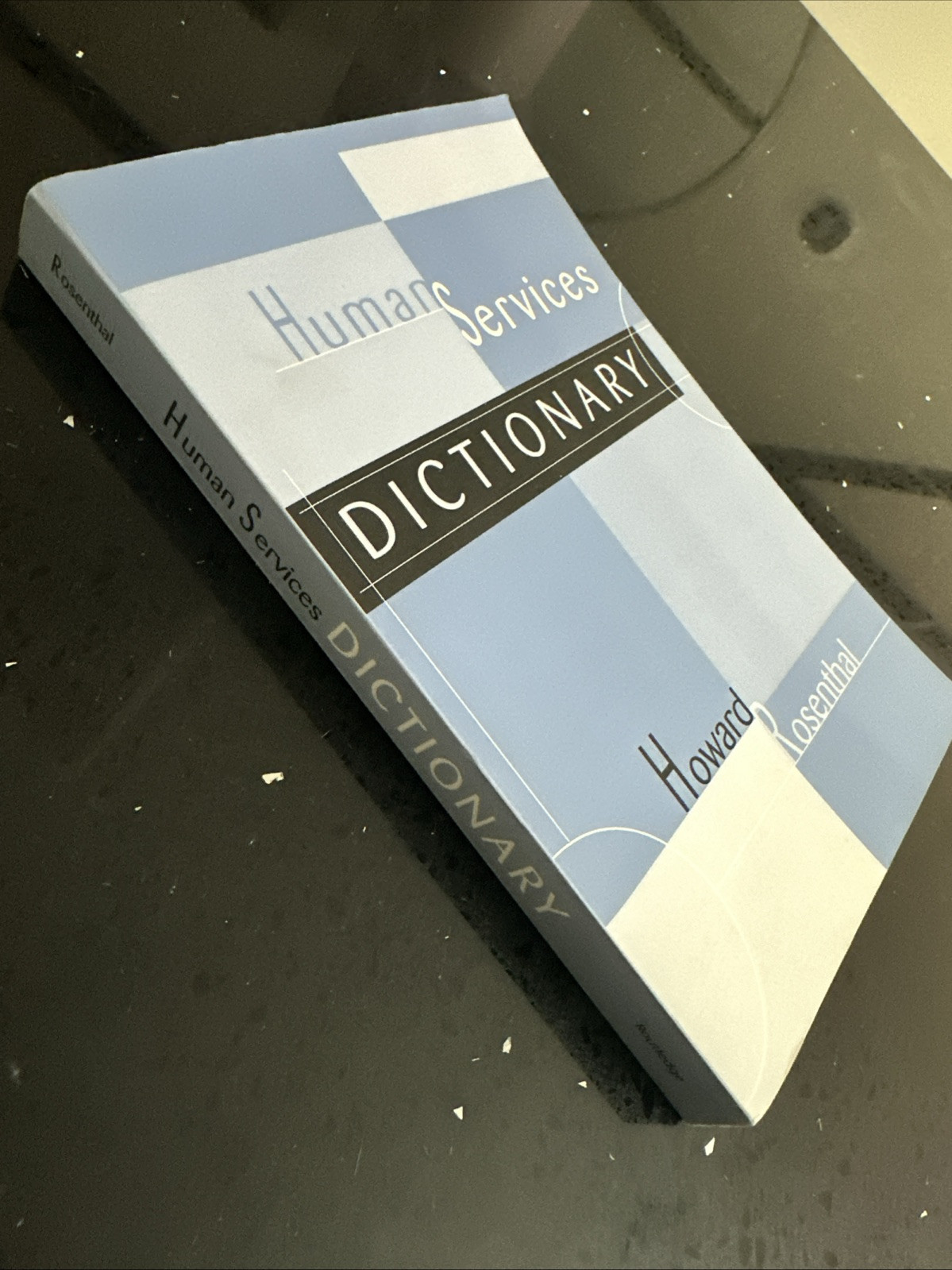 Human Services Dictionary by Howard Rosenthal (2003, Uk-B Format Paperback)