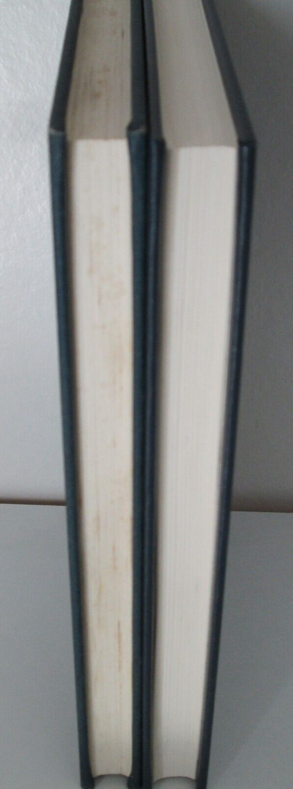 French Navy in Indochina 1945-1954 and Naval Expeditions 1945-1946 by Koburger