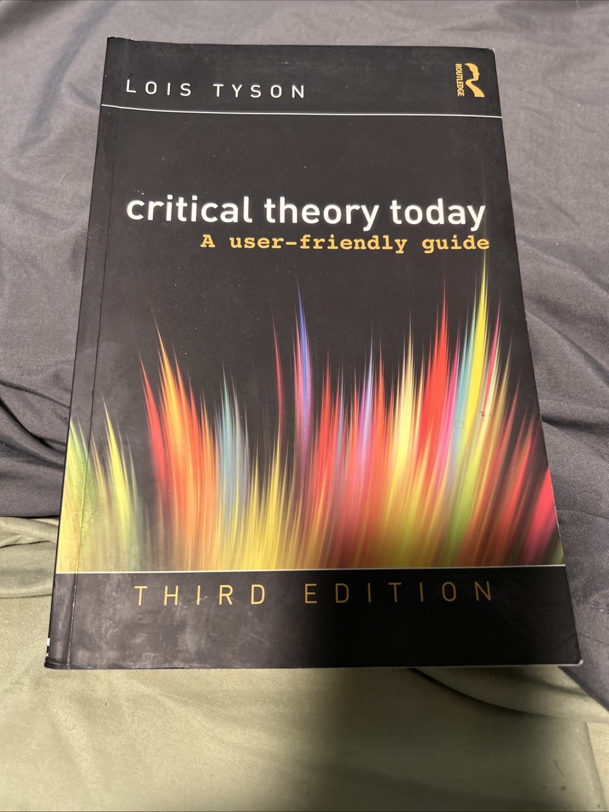 Critical Theory Today : A User-Friendly Guide by Lois Tyson2014, Trade Paperback