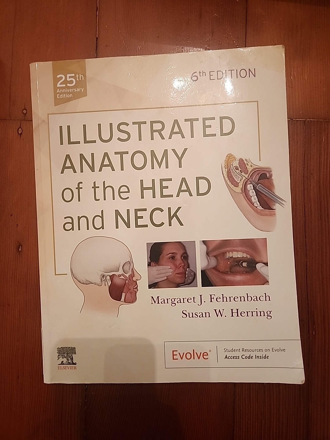 Illustrated Anatomy Of The Head And Neck By Margaret J. Fehrenbach And Susan W.