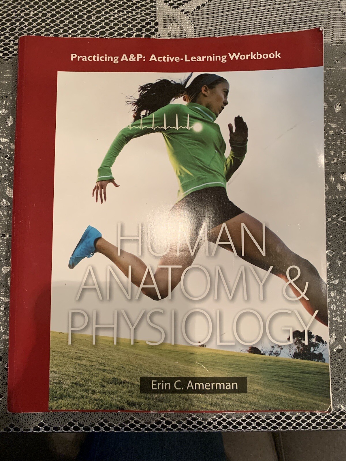 Practicing A&P: Active Learning | Human Anatomy & Physiology by Erin C. Amerman