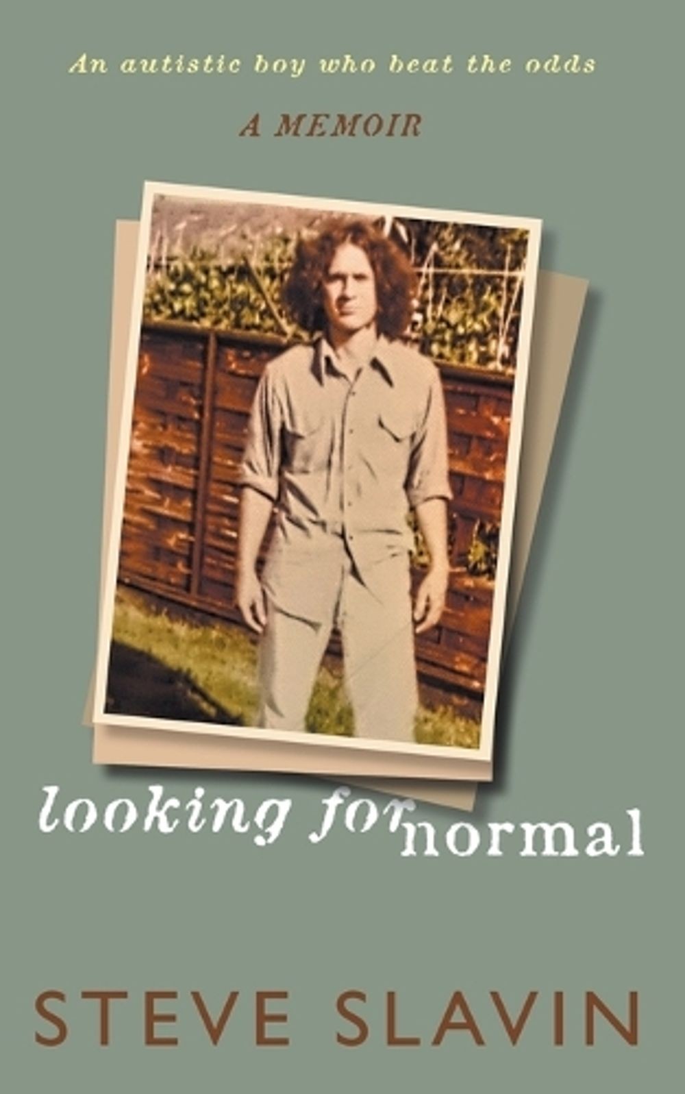 Looking For Normal by Steve Slavin Paperback Book